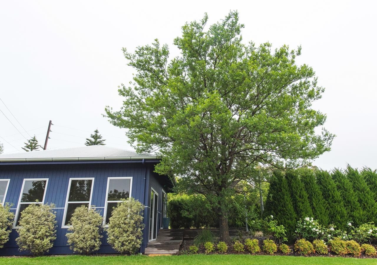 S T U D I O 22 Peaceful Retreat With Garden Views Leilighet Port Lincoln Eksteriør bilde